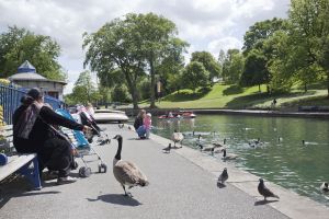 lister park landscape 7 sm.jpg